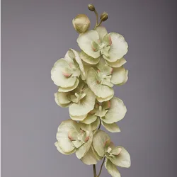 Elegant Silk Orchid Arrangement - 8-Head Artificial Butterfly Orchid for Wedding and Home Decor (Autumn Green)