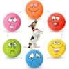 6 Pcs Latex Dog Squeaky Toys Rubber Soft Dog Toys Chewing Squeaky Toy Fetch Play Balls Toy for Puppy Small Pets Dog Accessories 1