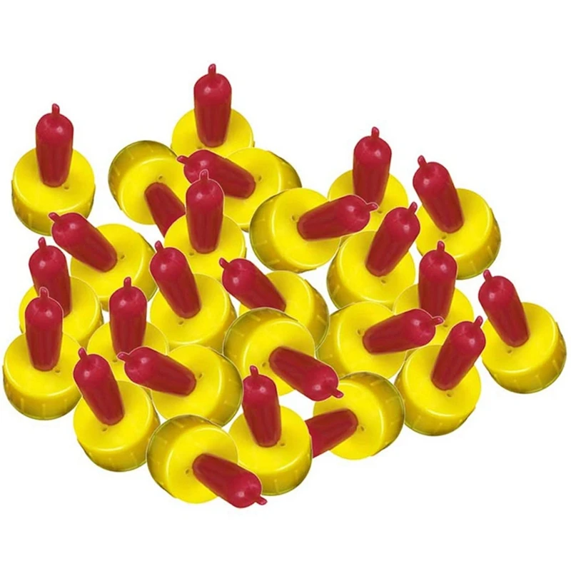       ô   Ǵ  , 200 