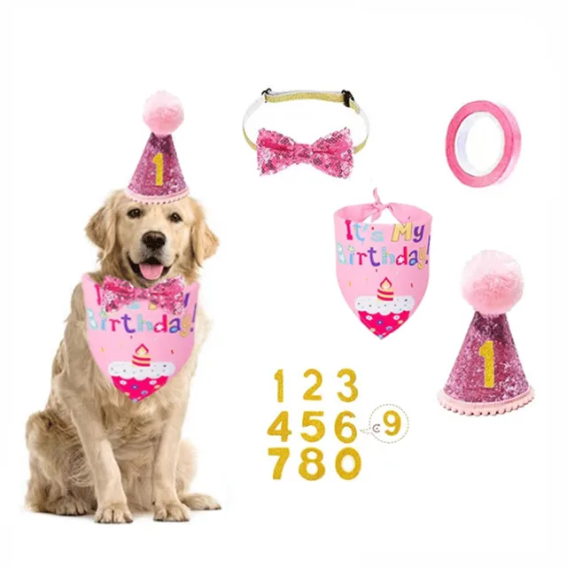 Cappello Di Compleanno Per Cani E Gatti Con Papillon Paillettes - 2 Pezzi, Regolabile, Perfetto Per Feste