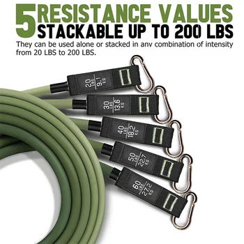1247498-ec1e73.png