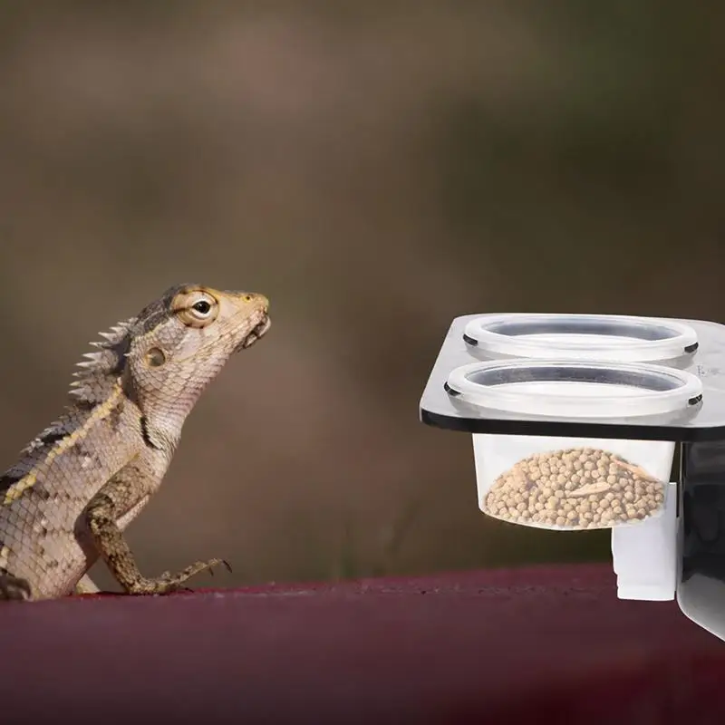 Reptile Tank Feeders Suction Cup Feeders Feeding Bowls Food Water Dishes Terrarium Breeding Box Pets Supplies