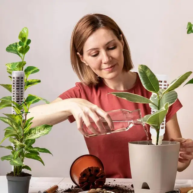 Növénytámogató Tétkert Kerti Botok Mohás Oszlopok Beltéri És Kültéri Mászáshoz - Image 4
