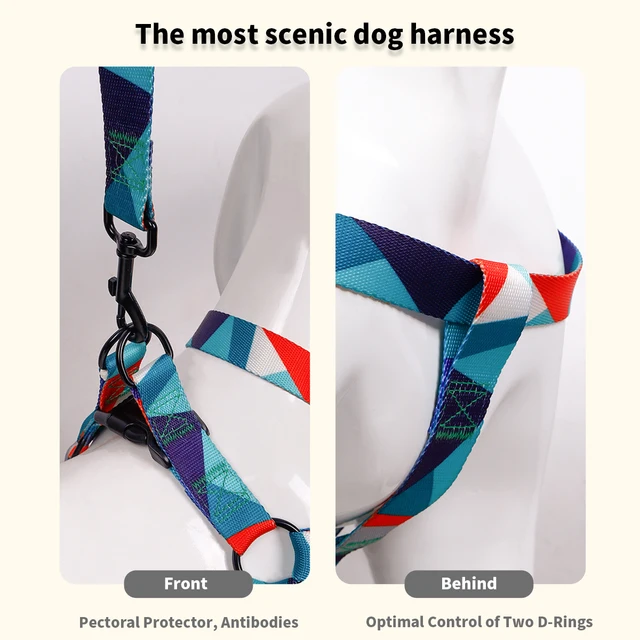1PC Pet Abstract Chest And harness Set, Dog Webbing Leash, Dog Walking Leash, Dog Collar Three-piece Set 5
