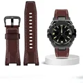 Dark brown black