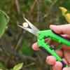 Garden Pruning Shears Set - Stainless Steel Trimming Scissors for Flowers, Branches, Herbs with Non-Slip Ergonomic Handles 5