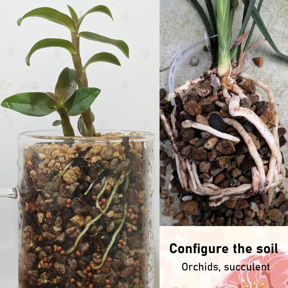 Porous Soil Matrix 50g Pumice Stone Configure Nutrient Soil Plant Breathable Loose Substrate Gardening Soft Stones