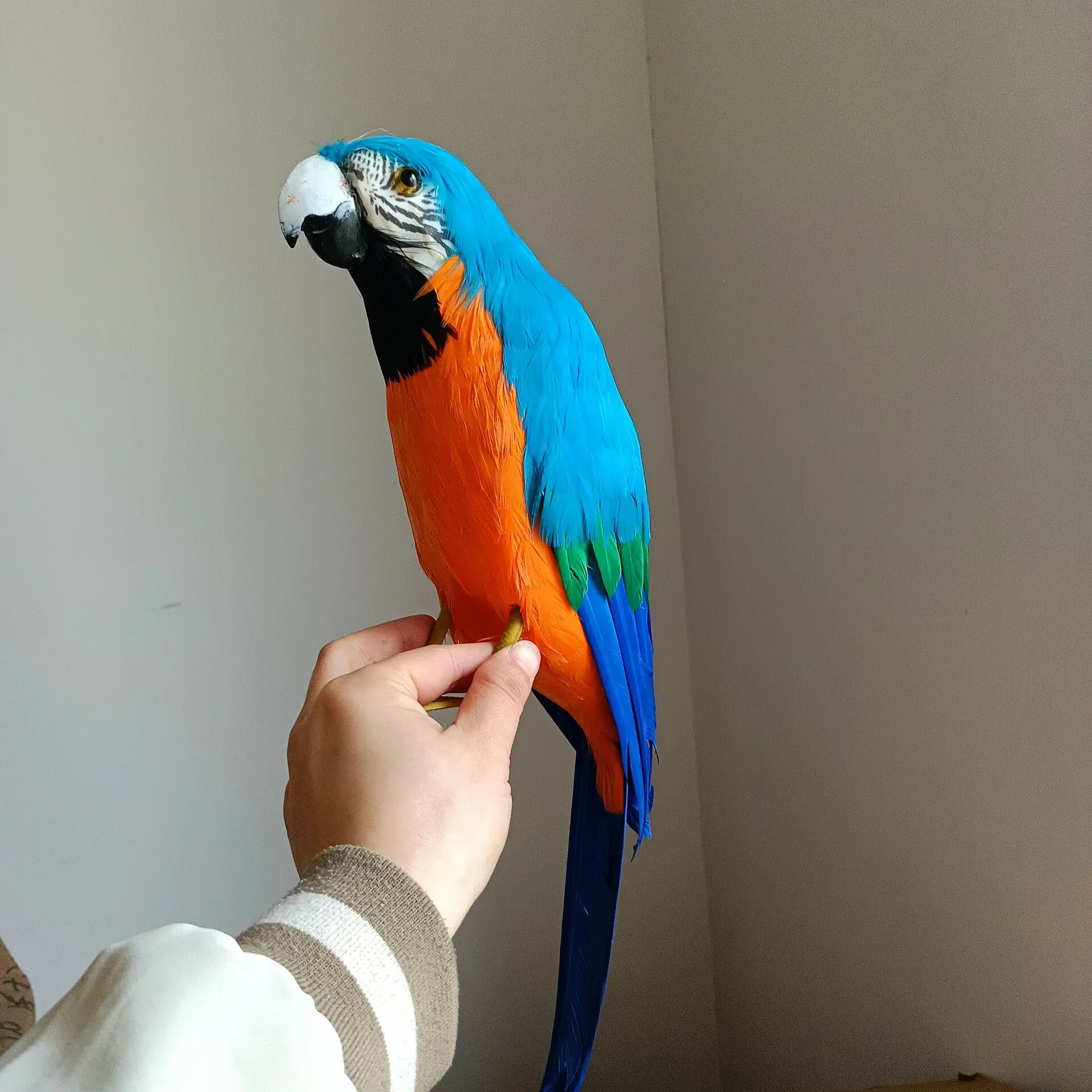 espuma-azul-e-penas-papagaio-modelo-bonito-simulacao-brinquedo-presente-42cm-h2728