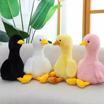 Duck Plush Set 1