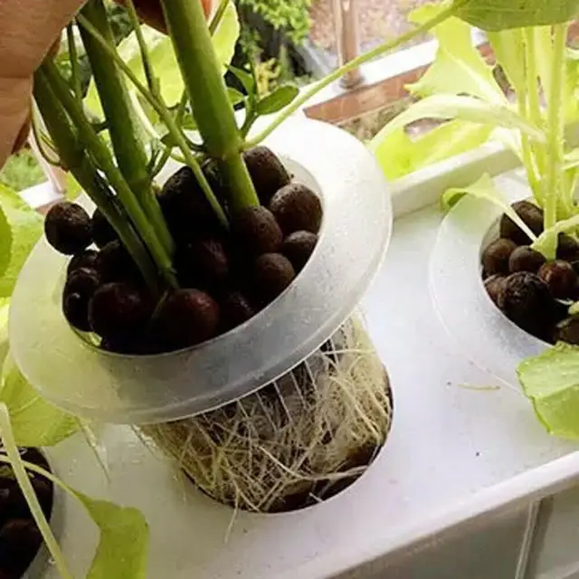 100/50/20*Netpot 35-50 Mm-Es Zöldségháló Csészék Fazék Réselt Hálószobás Tenyészet A Hidroponikához/Aquaponics/Orchideák Ültetvényes Műanyag - Image 5