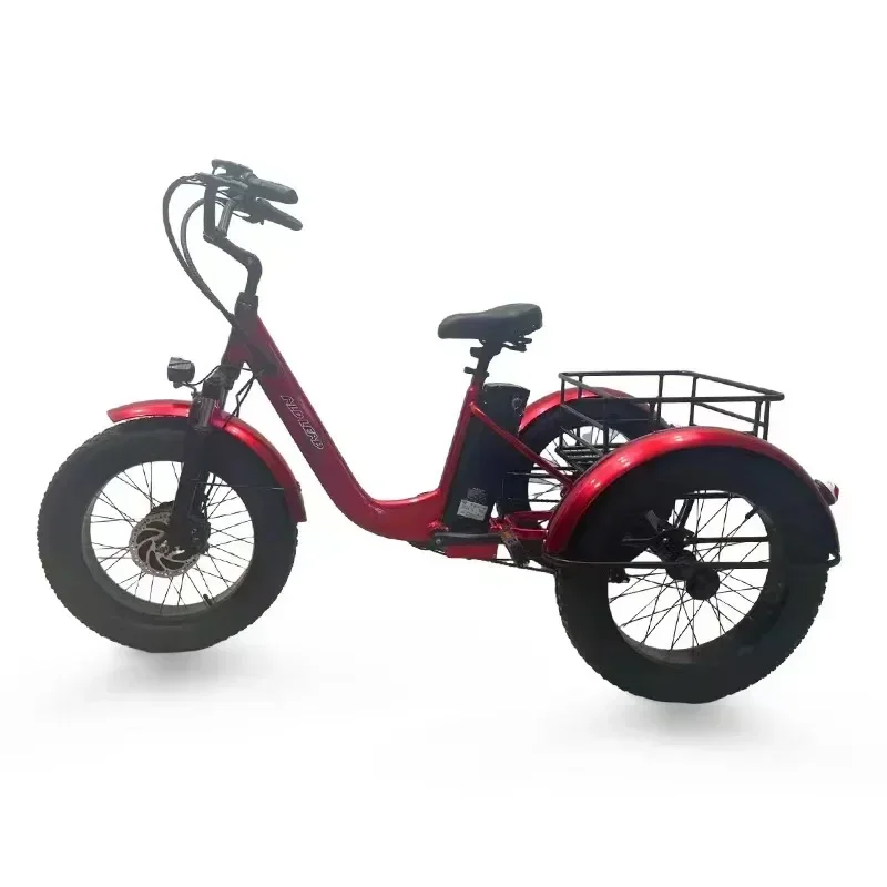 3 Wheel Electric bicycle 500W Powerful Motor 48V10AH Remove lithium battery Snow E-bike 20 inch Fat Tire Cargo Electric Tricycle