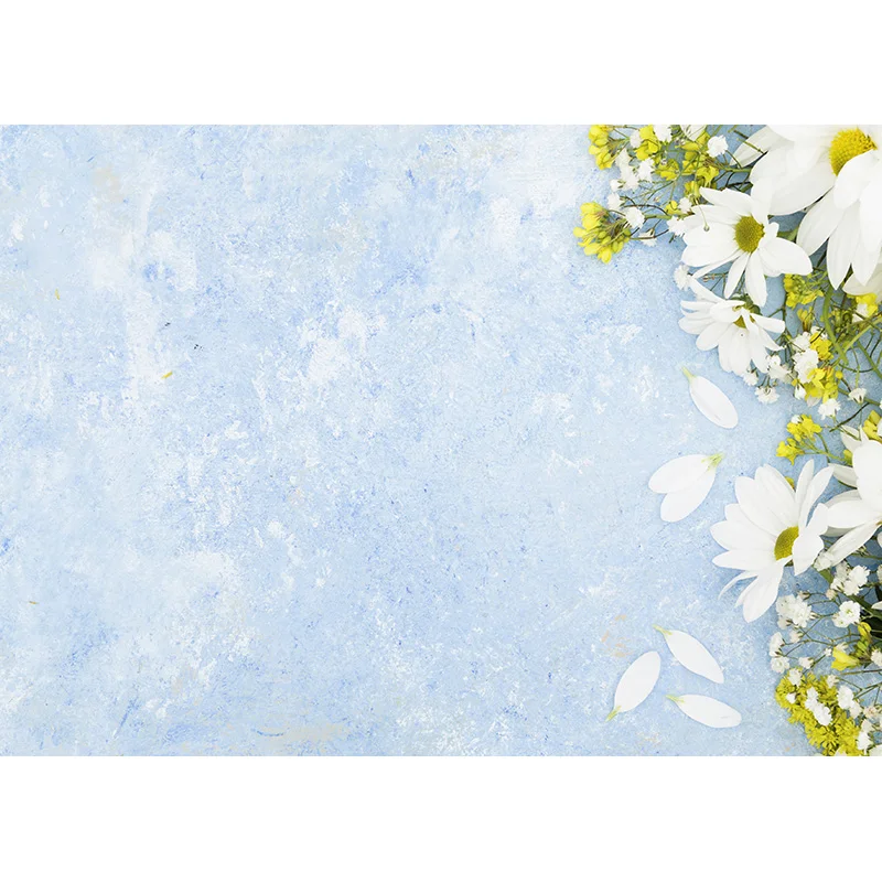     ǰ,   ,  Ʃ  21921, CXSC -16