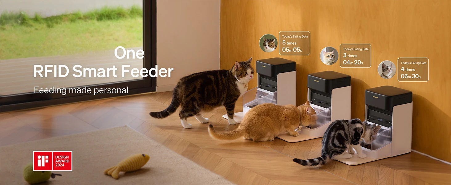 automatic cat feeder