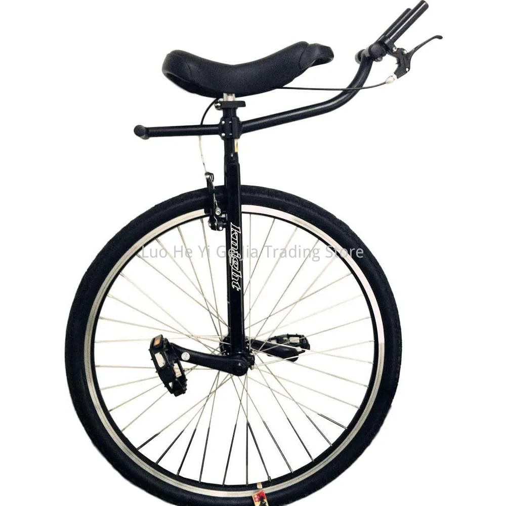 28UnicycleWithHandleBarAndBrake.jpg