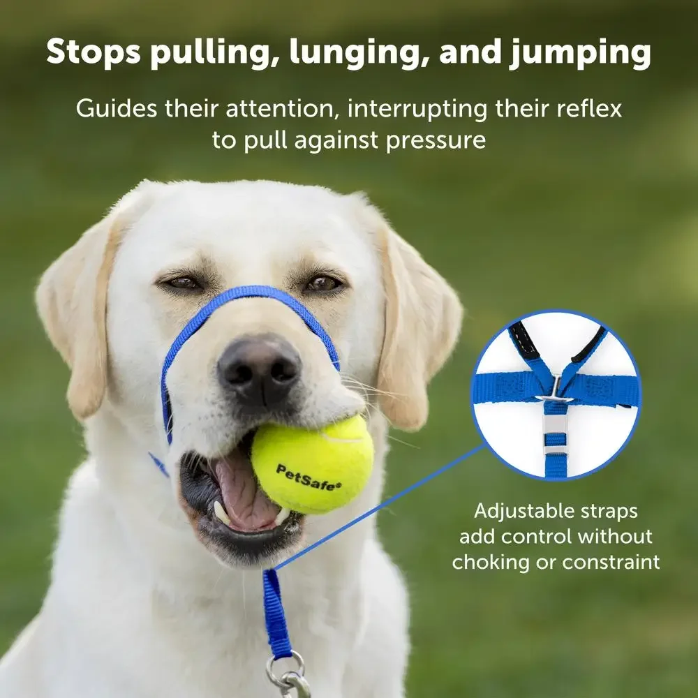 No-Pull Dog Headcollar Veterinary Designed Leash & Harness Accessory Stops Pulling & Choking Comfortable Adjustable Durable