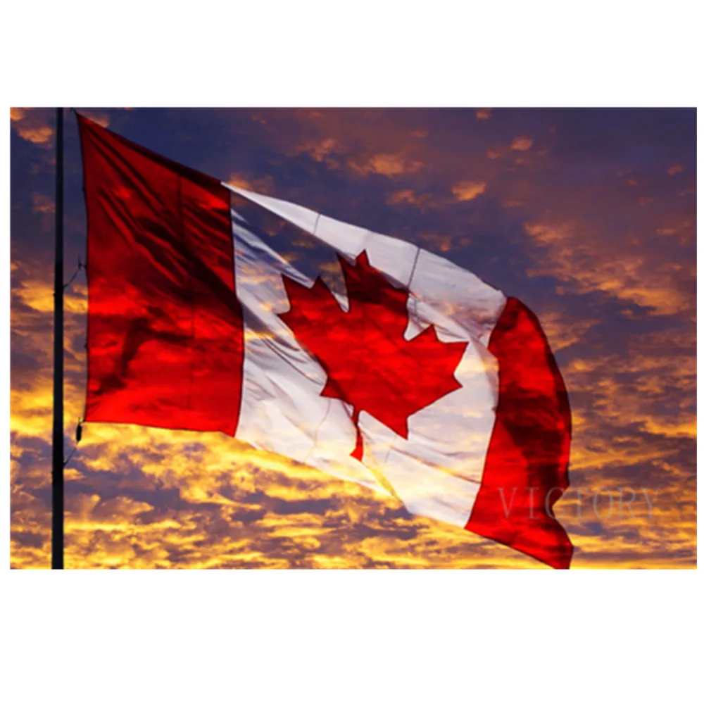 Canada Flag Diy 5D Diamond Painting strass Picture Mosaic Full Diamond ricamo punto croce Set Home Art Decoration
