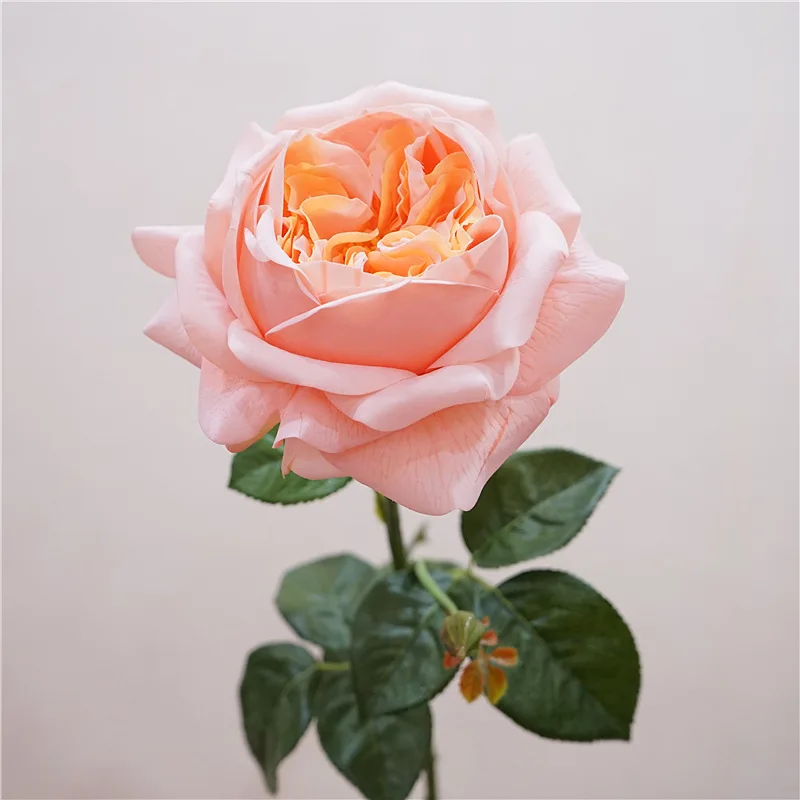 زهور أوستن الاصطناعية الوردية المرطبة ، لمسة حقيقية ، ديكور منزلي فاخر ، حدث حفلات ، باقة زفاف ، ورود زهور مزيفة ، 5 *