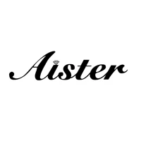 Aister Jewelry Store