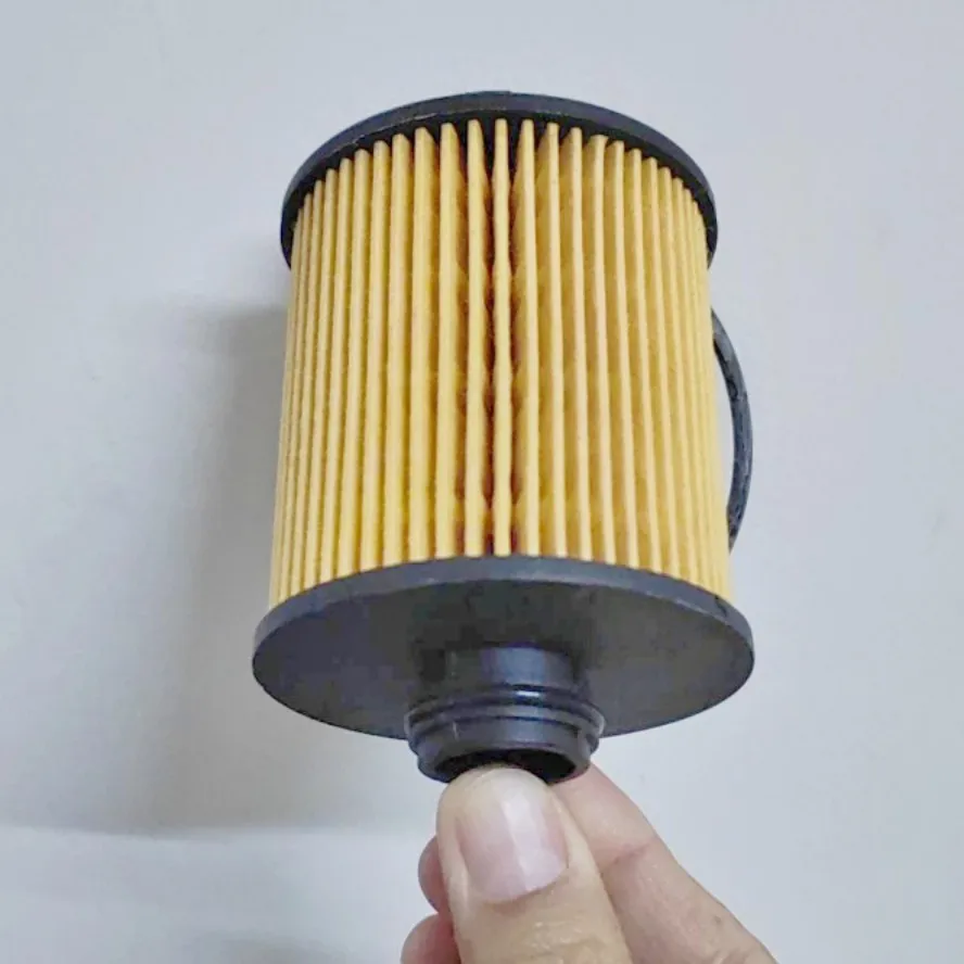 Parts Oe No 1612565980 1612581780 9807989080 Yl01997480 Oil Filter 