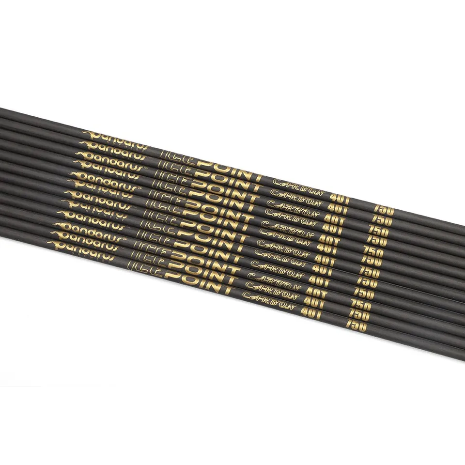 12 Flèches Carbone Pandarus Icepoint ID3,2 Mm 40 Tonnes - Droiture Parfaite ±0,001