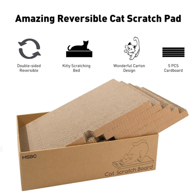 5pcs/box Cat Scratching Board Mat Scraper Claw Paw Toys For Cat