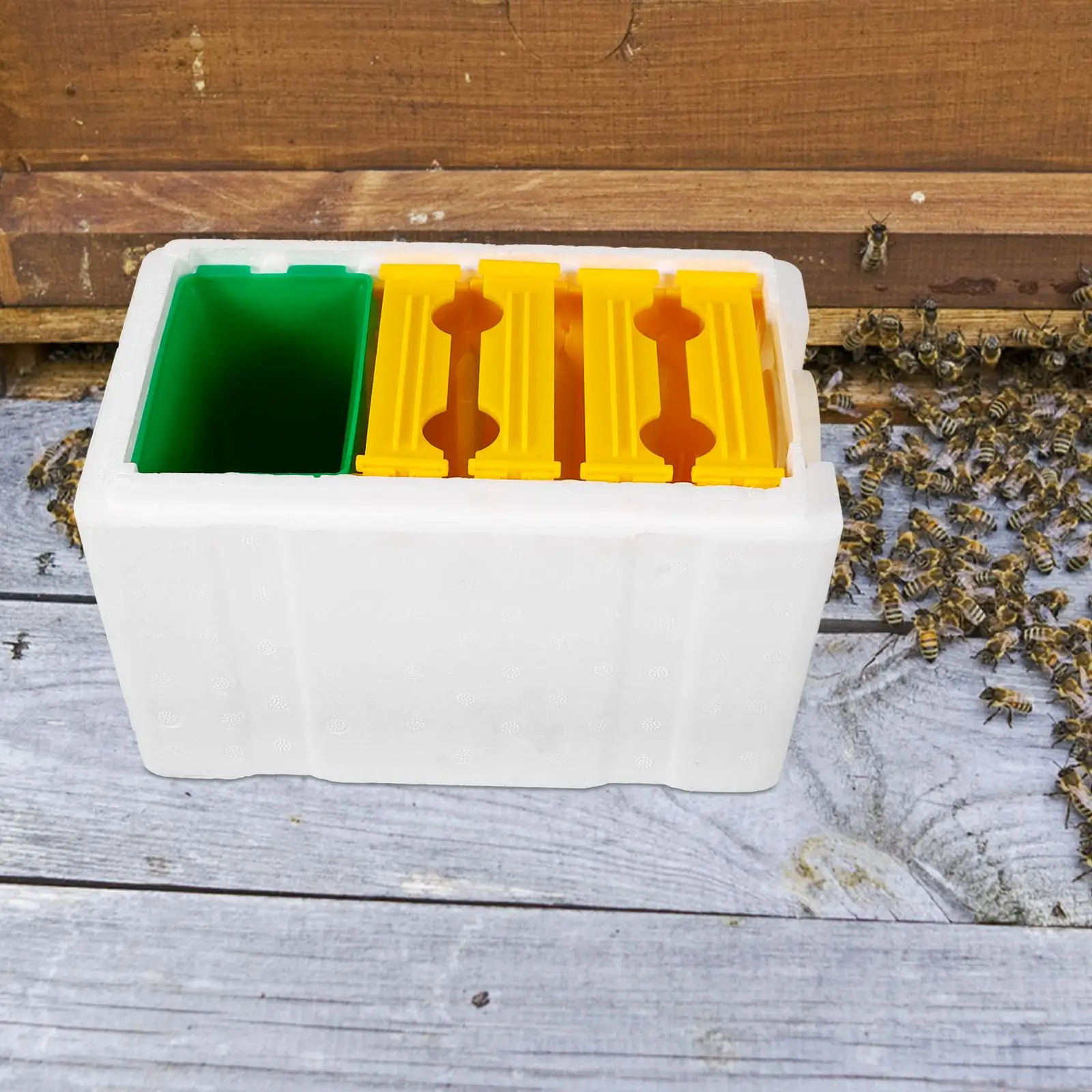 4 Frame Plastic Feeding Hive Bee Breeding Box Door Mini Mating Tool Compact Gardening Equipment Beekeeping