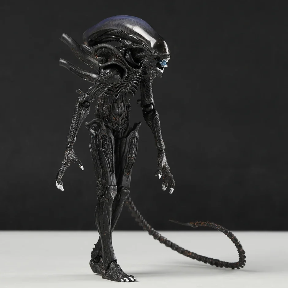 S070b362d2d1a4e9b92a88d0ac246e