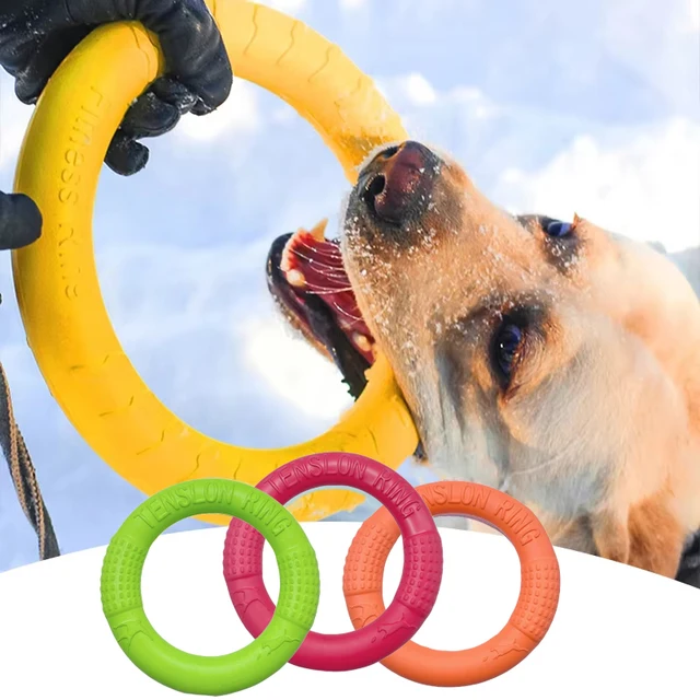 Dog Toy Training Ring Puller Puppy Flying Disk Chewing Toys Outdoor Interactive Toy Dog Game Playing Supplies Zabawki Dla Psa Dog Toy Training Ring Puller Puppy Flying Disk Chewing Toys Outdoor Interactive Toy Dog Game Playing Supplies Zabawki Dla Psa