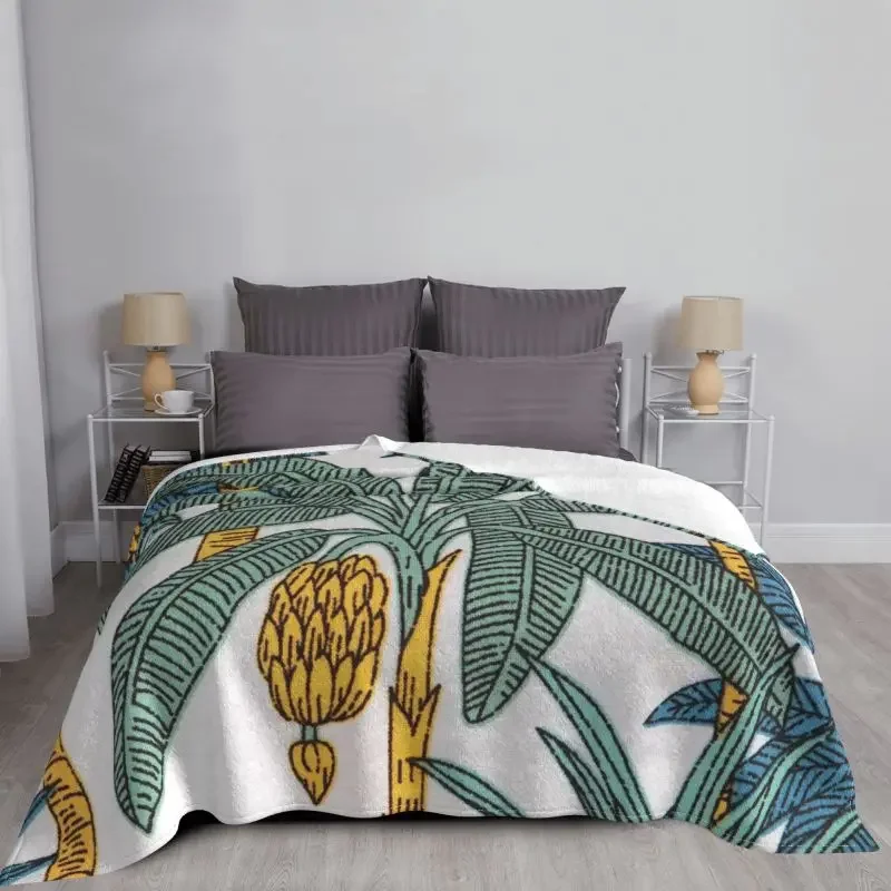 �� �ٳ��� ���� ���� �Ĺ� ���, �ε巯�� ���� ���ö ������ �ö��� ������ ���, ���� ���� ħ�� �̺�