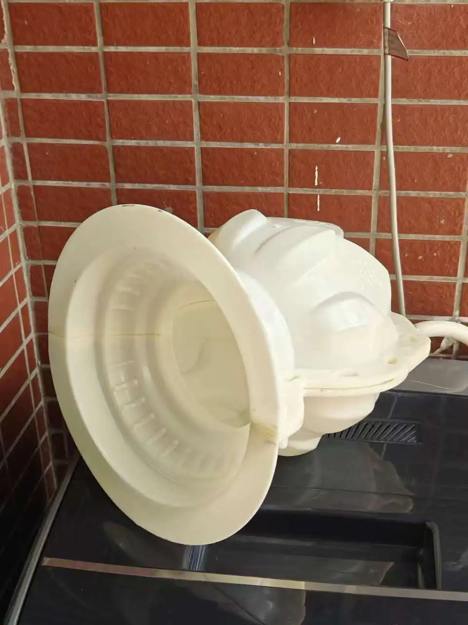 European Style Flowering Bulb Cement Mold 4