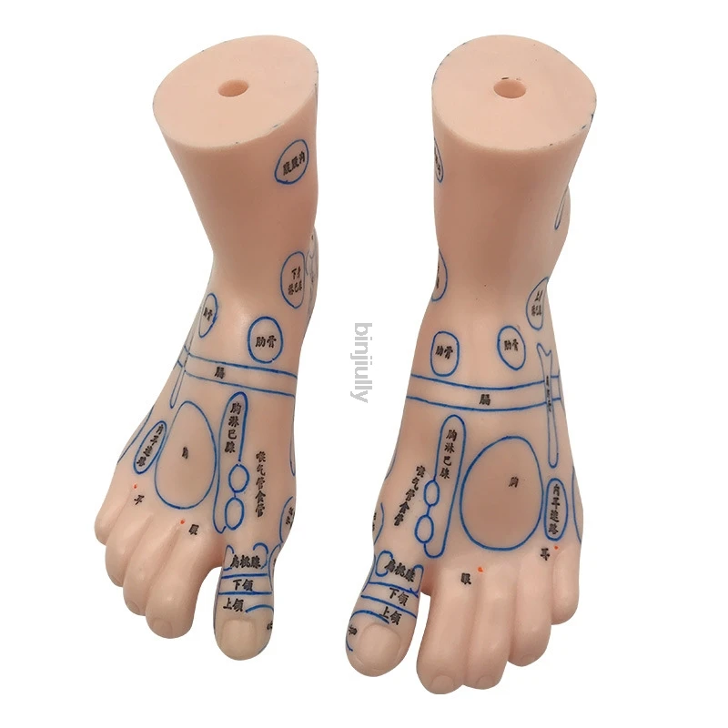 19cm Foot reflex zone massage model, not acupuncture model, Chinese and English code TCM Feet Reflexology, 1 pair
