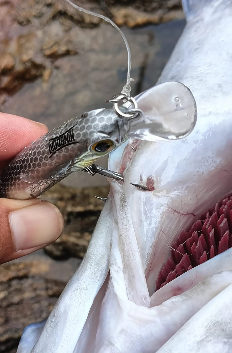 Kingdom Sinking Minnow Salzwasser-Angelköder Jerkbait Swimbait Weitwurf Hart 60 80 95 105mm Künstlicher Forellen- und Wolfsbarsch-Köder – Detail 14