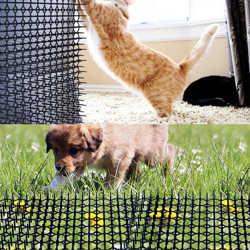 How To Keep Dogs Away From The Fence