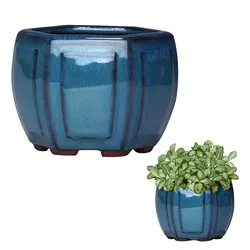 Ceramic Planter Pots with Drainage for Indoor and Outdoor Spaces (Default)