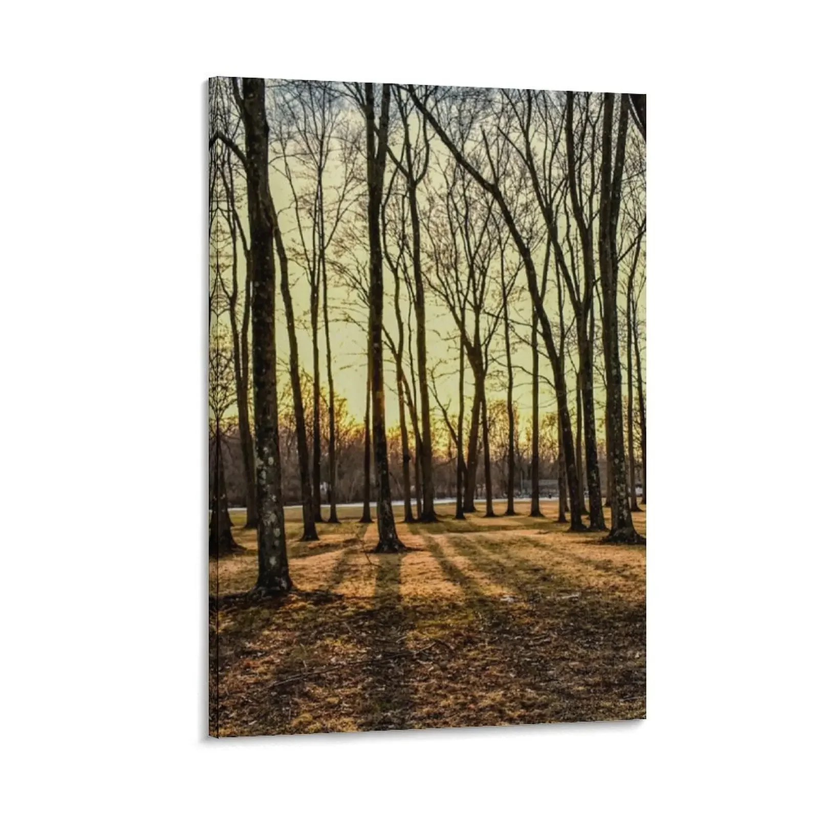 

Shadows at Sunset Canvas Painting living room decoration japanese room decor korean room decor