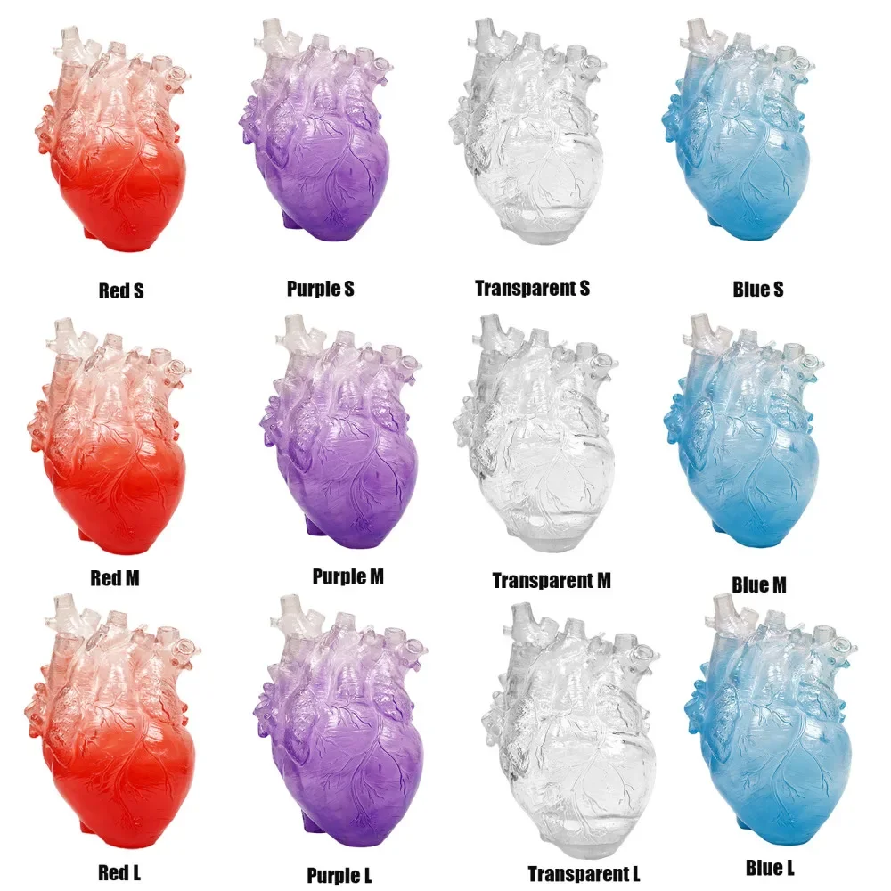 Transparent Heart Vase Creative Nordic Clear Resin Home Room Decor Unique Simulation Anatomical Flower Vases 5