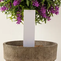 100Pcs Mini Plastic Plant Seed Label Pot Marker Newly Arrival Factory Price Cheap Nursery Garden Stake Tags Tool Drop Shipping 2