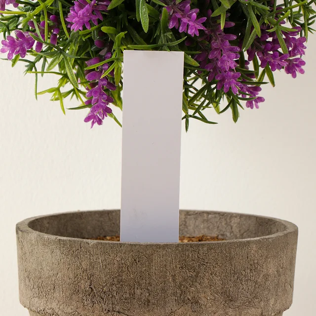 100Pcs Mini Plastic Plant Seed Label Pot Marker Newly Arrival Factory Price Cheap Nursery Garden Stake Tags Tool Drop Shipping 2