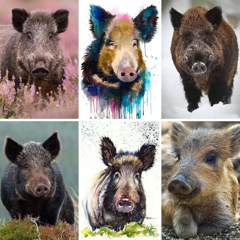 Diamond Painting Diamond Art Painting Kit Diamond Painting Set Hogs Animals Diamond Painting Wild Boar 5d Diy Diamond Art Mosaic Animals Wild Pigs Embroidery Rhinestone Picture Decor