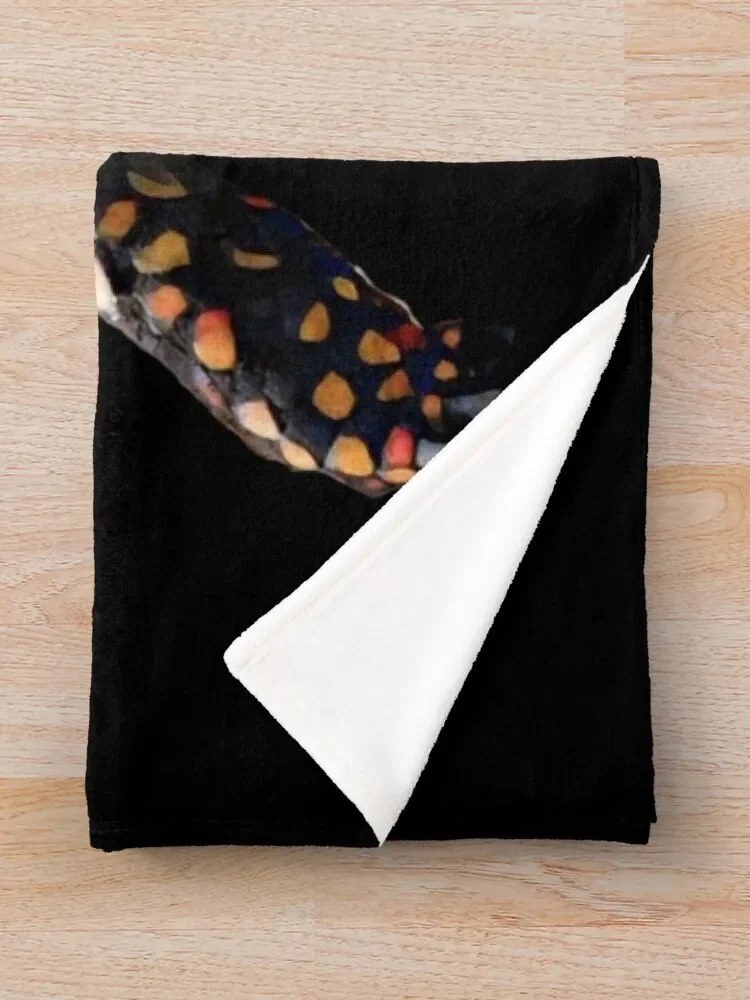 ���� �� �ź��� ������ ���, ��� ħ�� ����, �ε巯�� ���� ����, ���ſ� ���