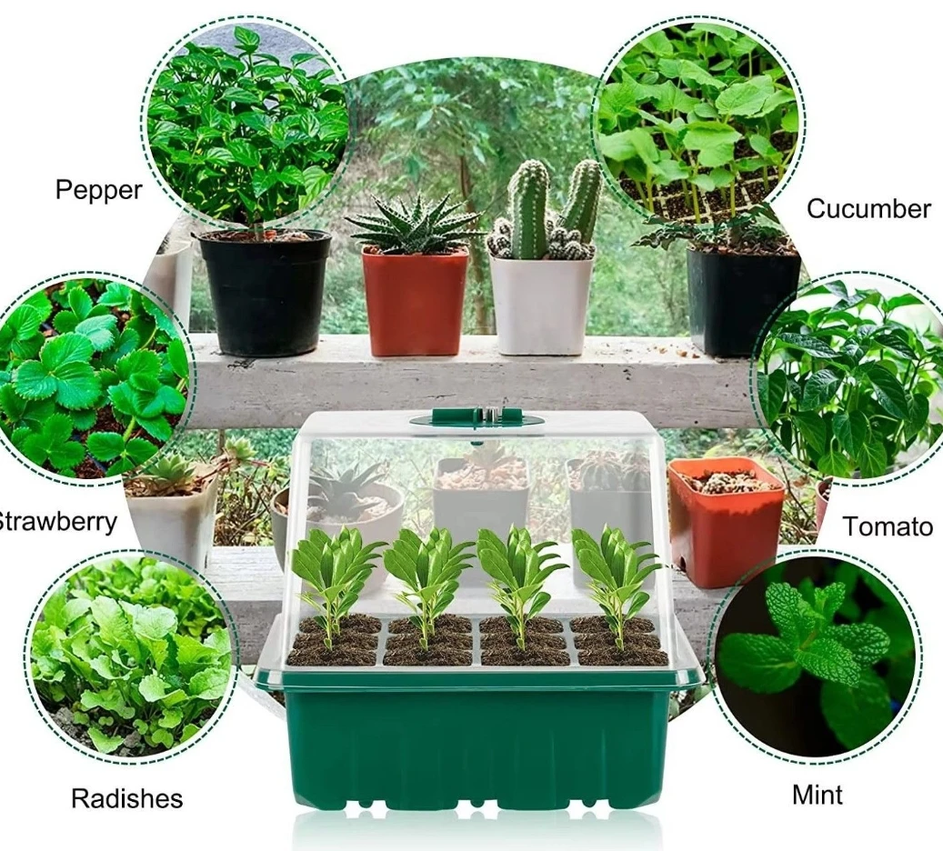 Deluxe Home Seed Starter Tray with Adjustable Grow Light and Humidity Control