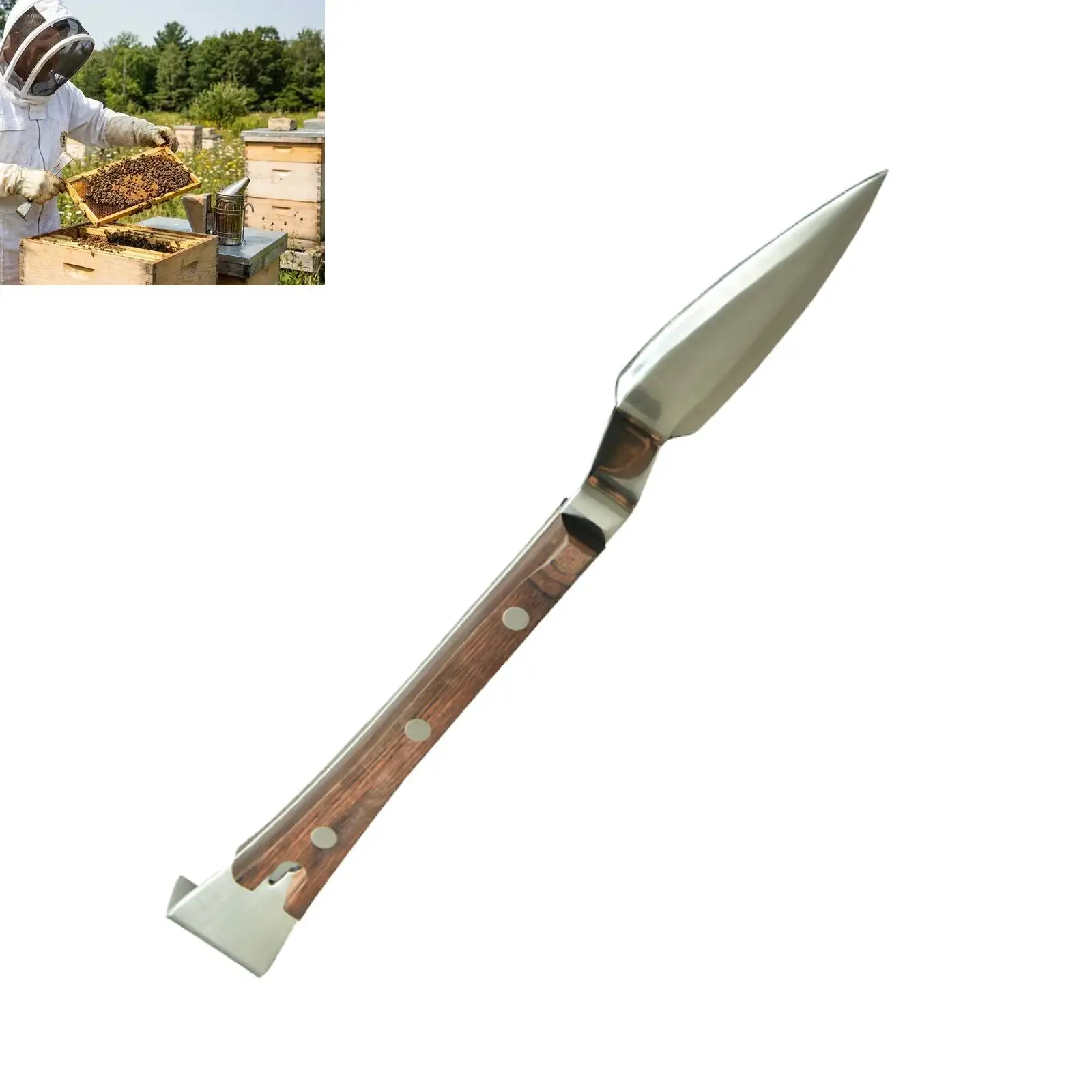 1 Beekeeping Hive Tool Stainless Steel Uncapping Tool Korean-style Hive Tool Beekeeping Supplies