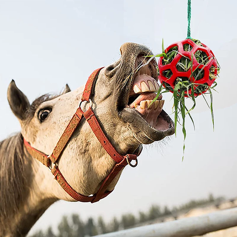 Horse Treat Ball Hay Feeder Toy Ball Hanging Feeding Toy for Horse Horse Goat Sheep Relieve Stress Horse Treat Ball 3