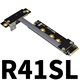 R41SL