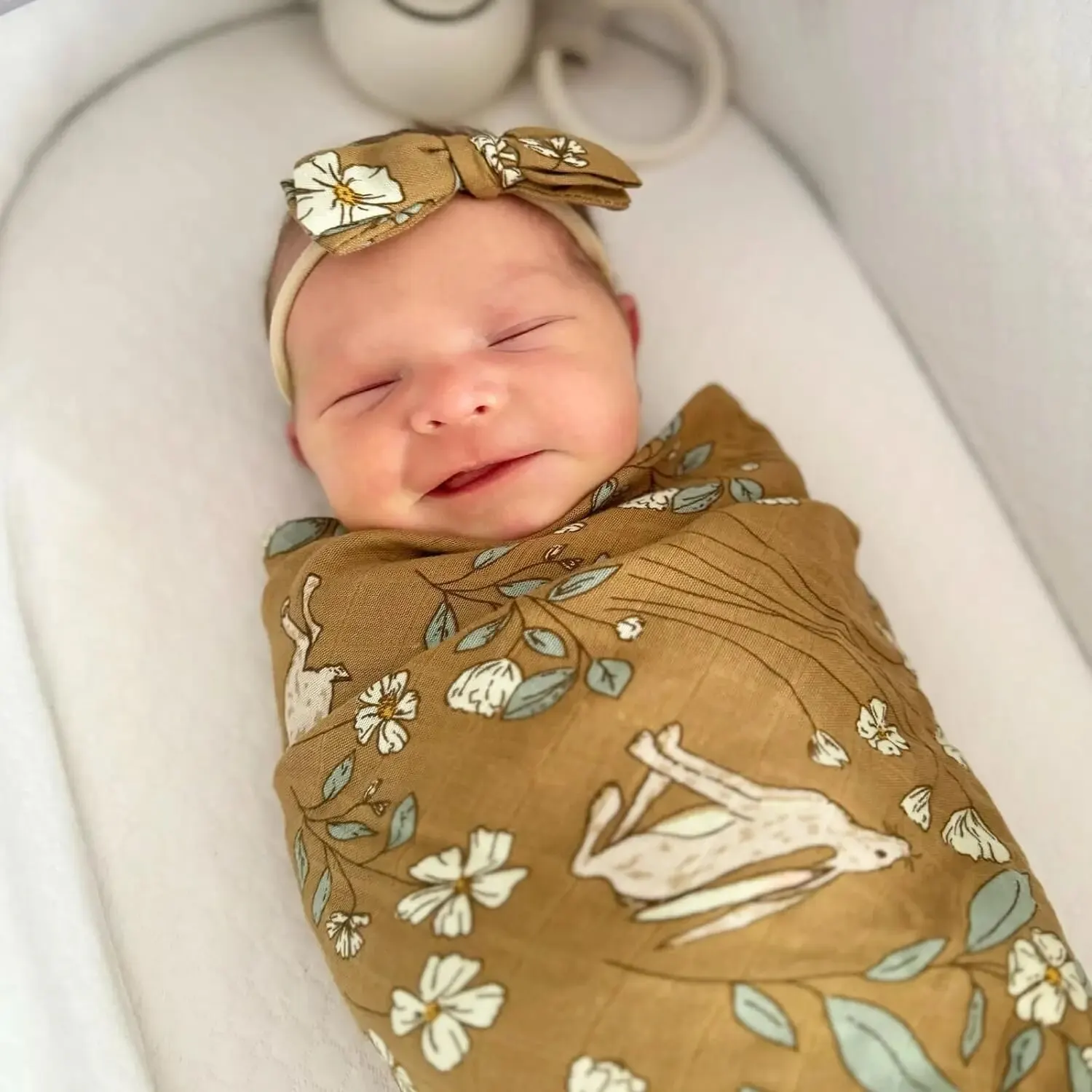 LifeTree ������� �𽽸� ��������� ���, �߸� ����Ʈ ����� ��, ���� �ޱ� ���, 120cm, 2 ��