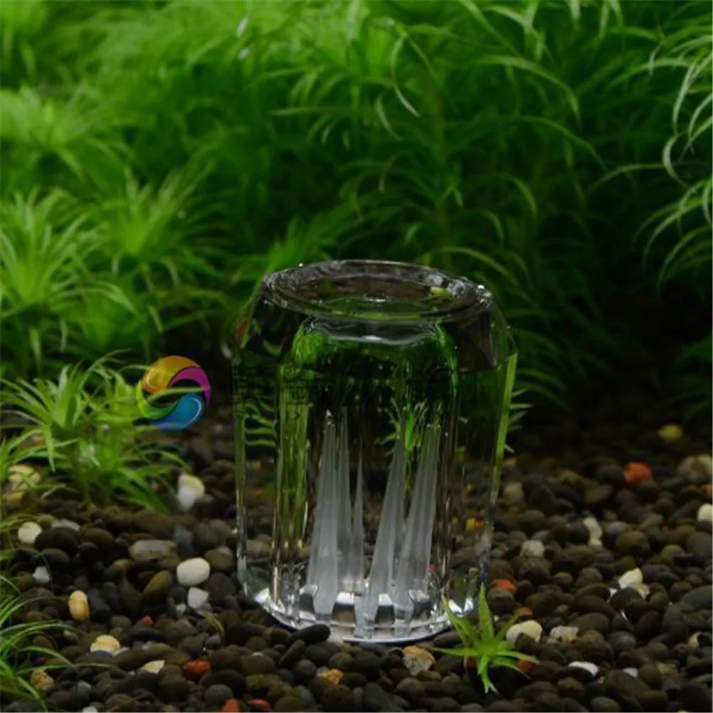 8 Hole Snail Trap Transparent Leech Vivarium Planarian Pest Catch Pen Red Bee Shrimp Worm Bait Feeding Box Aquarium Cleaner Tool