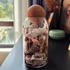 Multipurpose Micro Landscape Glass Bottles Storage With Cork Lid Moss Bottle Glass Vase Seashells Storage Glass Terrarium 6