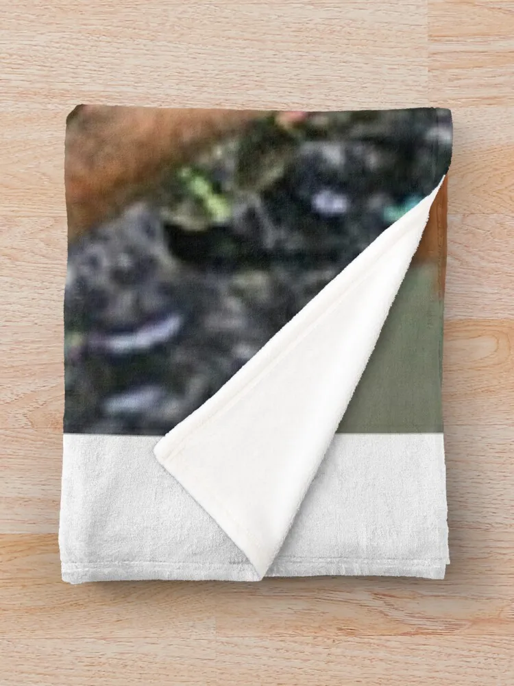 Ainsley HarriottThrow ��� �ʴ��� ������ ���