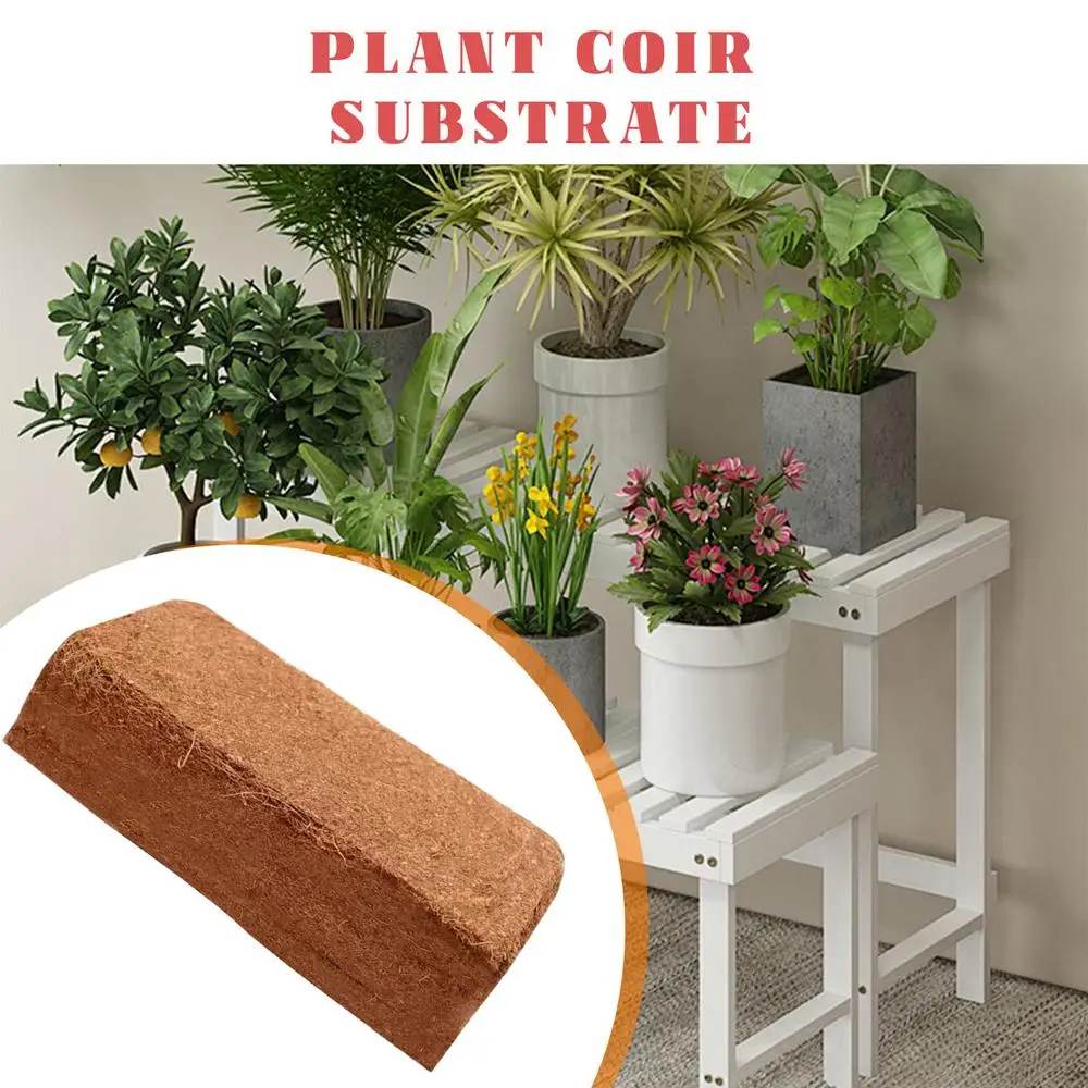 Organic Compressed Coconut Coir Brick