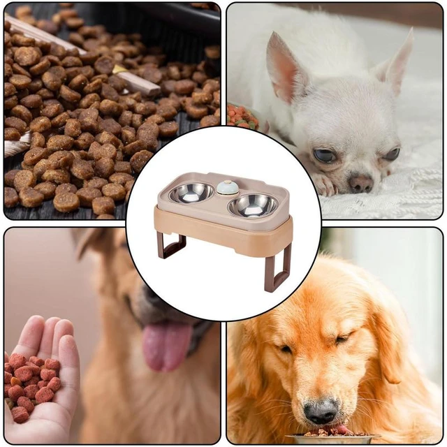 Dog Bowls With Stand Adjustable Dog Food Bowls Elevated Large Dogs Raised  Feeder Tall Dog Bowl Stand 2 Stainless Steel Dog Bowls - AliExpress